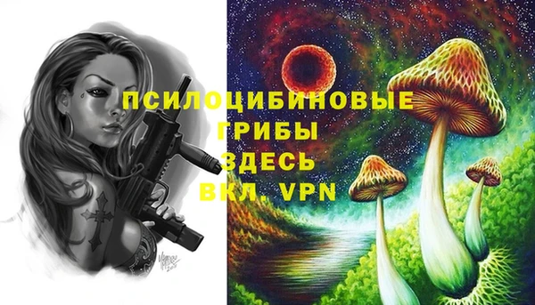 гашик Алексин