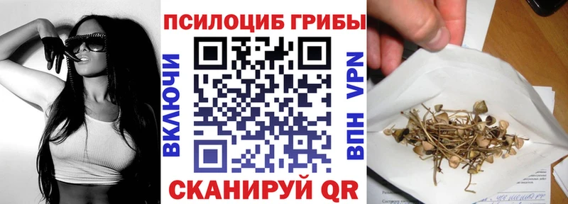 где продают наркотики  Петропавловск-Камчатский  Галлюциногенные грибы Psilocybine cubensis 
