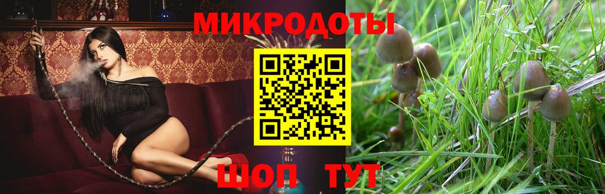 Псилоцибиновые грибы Psilocybine cubensis  Вход с VPN  Петропавловск-Камчатский 