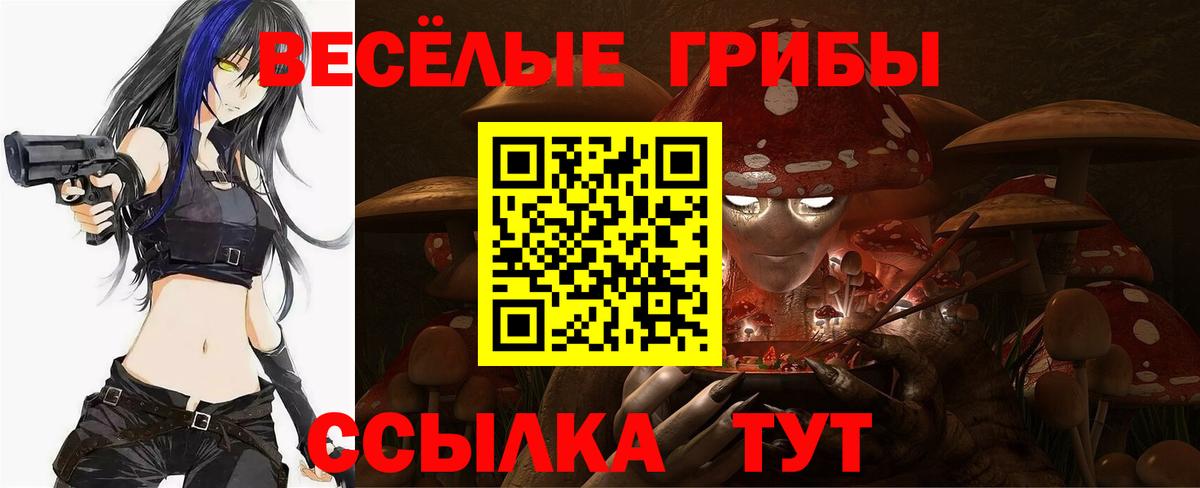 Псилоцибиновые грибы Psilocybine cubensis Петропавловск-Камчатский